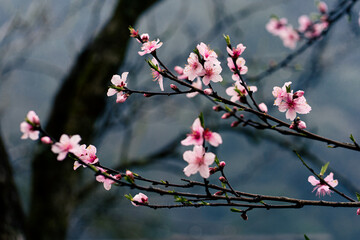 am Hieu. These are the photos I took in Vietnam