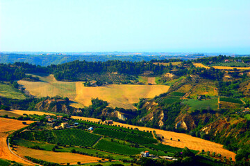 Fototapeta na wymiar Rural view in Acquaviva Picena with a rugged Marche landscape consisting of green vegetation, yellow meadows, peculiar ravines and scattered houses and buildings under a hazy azure sky