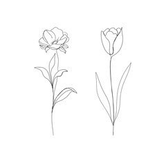 line art drawing of flowers. minimalism sketch, idea for invitation, design of instagram stories and highlights icons