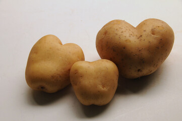 Three heart shaped potato tubers close together like a family