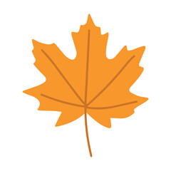 Maple leaf. Autumn vector object isolated on white background