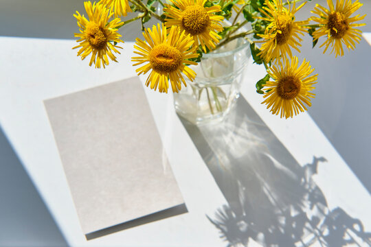 Greeting mockup scene on window table in sunlight. Blank paper, bouquet of wild meadow
