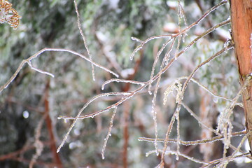 Beautiful snow