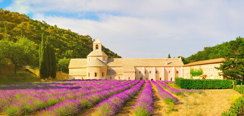 Senanque Abbey with lavender field, in Gordes, Vaucluse, Provence, Provence-Alpes-Cote d'Azur, France. French: Abbaye Notre-Dame de Senanque