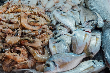 Fresh raw seafood photographed at the fish market.