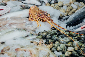 Fresh raw seafood photographed at the fish market.