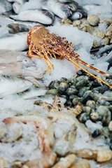 Fresh raw seafood photographed at the fish market.