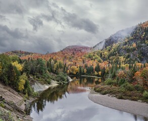 An Ontario forest at Goulais River during a cloudy day in autumn