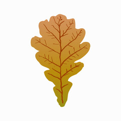 Gradient autumn oak leaf in modern style on white background. Vector illustration isolated. Ecology concept. Plant leaf sign.