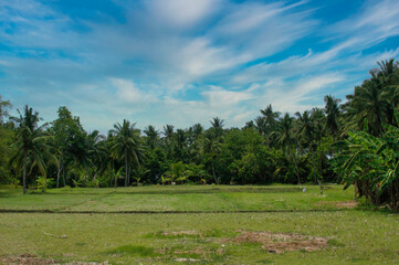 Landscape of palm trees and clouds on the island of Siquijor Philippines