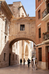Fototapeta na wymiar Rear view on people walking in the street of old town. Tourism in Europe concept in Valencia, Spain.