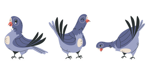 Pigeon bird character animal beak with different emotions and action isolated set collection concept. Vector graphic design element illustration