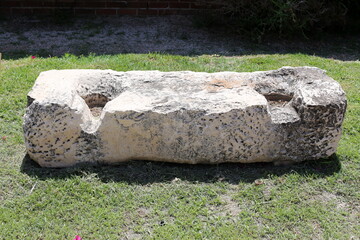 Stones and shells on the shores of the Mediterranean Sea.