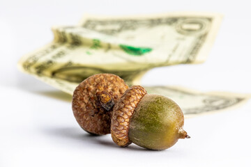 two acorns with a crumpled dollar bill signifying saving for the future and accumulating wealth...