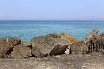 Stones and shells on the shores of the Mediterranean Sea.