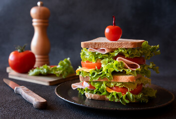 Homemade sandwich with cheese, ham, tomatoes and vegetables