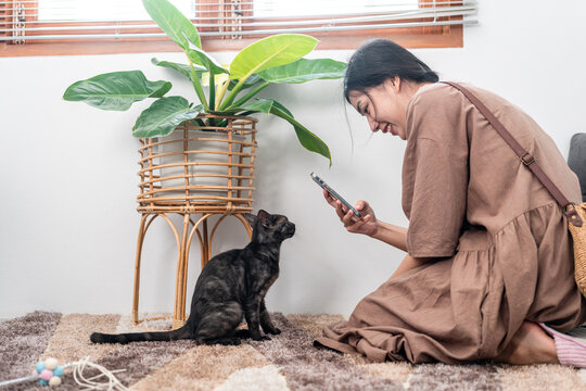 Beautiful woman is playing with a lovely cat and taking photos on her smartphone while sitting