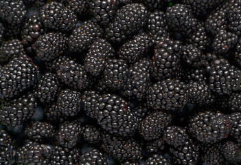 Background of fresh and juicy blackberries.Seasonal products.