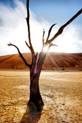 Namibia