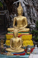 Samut Prakan, Thailand - July 07, 2022. Wat Sao Thong Nok.  This temple has a Ganesh Buddha statue.