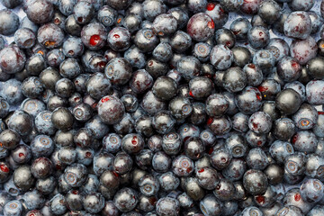 Blueberry berries close-up. Background image. Healthy eating.