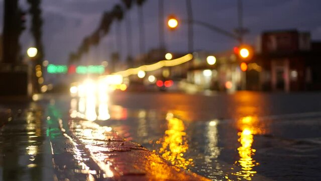 Cars lights reflection on road in rainy weather. Rain drops on wet asphalt of city street in USA, water raindrops falling on sidewalk. Palm trees and rainfall, twilight dusk. Ocean Beach, California.