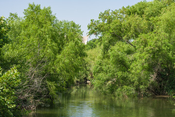 Fototapeta na wymiar Edwards Aquifer spring fed San Antonio River facing upriver toward Confluence Park in the Mission District is a tourist place to walk along the miles of hiking trails beside the scenic river.