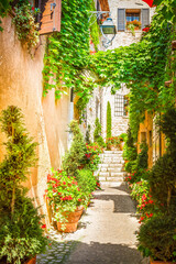 Obraz na płótnie Canvas beautiful old town of Provence