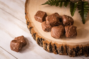 Closeup of chocolates on pine tree cross section