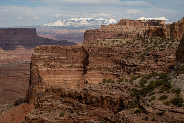 The Cliffs Over The Neck And The Snow Covered La Sal Mountains