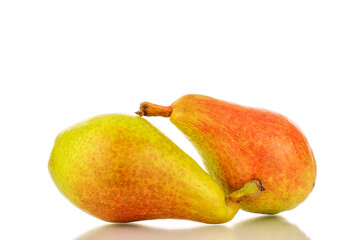 Two organic juicy pears, close-up, isolated on a white background.