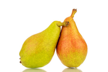 Two organic juicy pears, close-up, isolated on a white background.