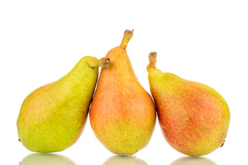 Three organic juicy pears, close-up, isolated on a white background.