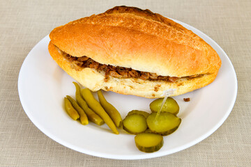 Meat Chicken Doner, between bread (Turkish Name : ekmek arasi doner, doner, Turk kebabi)