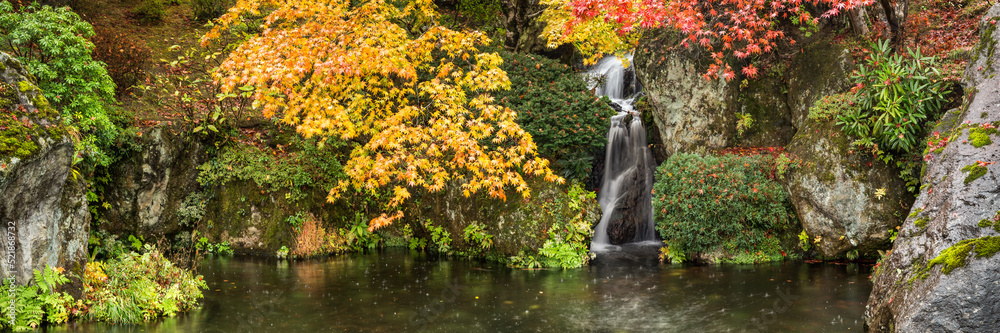 Wall mural panorama of a japanese garden in autumn with waterfall and colorful maple leaves