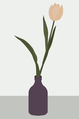 Vector flat illustration in light colors. Delicate tulip in a vase on the table. An elegant element of the interior. Design for postcards, backgrounds, templates, banners, textiles.