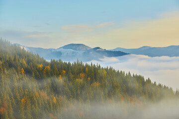 lawn is enlightened by the sun rays. Majestic autumn rural landscape. Fantastic scenery with morning fog. Green meadows in frost. Picturesque resort Carpathians valley, Ukraine, Europe.
