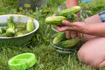 The woman prepares sour cucumbers, Poland.
