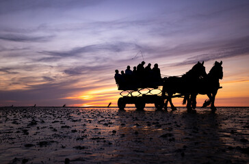 wattwagenfahrt / fahrt mit pferdekutsche im wattenmeer bei ebbe zum sonnenuntergang