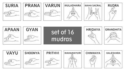 Set of 16 mudras. Black and white icons of yoga mudra. Vector.