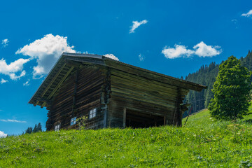 Holzstadel, Scheune, Haus aus Holz am steilen Abhang in Adelboden. auf einer Waldlichtung in den schweizer Alpen steht ein altes Holzhaus, Stall oder Heulager, Blockhaus aus alter Zimmermannskunst.