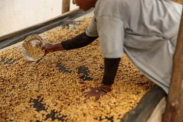 Cropped photo of female worker during honey process with traditional way in Rwanda