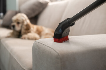 Close-up of sofa cleaning with vacuum cleaner.