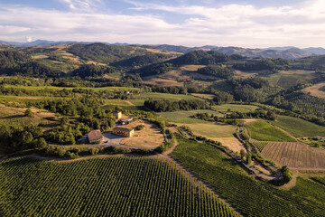Naklejka premium Vineyard plantations, panoramic aerial view