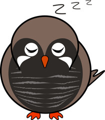 居眠りするかわいいヤンバルクイナ