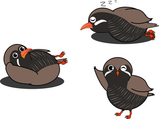 寝る・手を上げるかわいいヤンバルクイナ