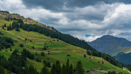 Alpweiden in Adelboden, Streusiedlung mit alten Bauernhäuser aus Holz auf grünen Wiesen und Weiden am Waldrand. 