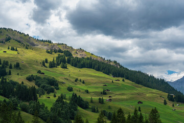 Obraz premium Alpweiden in Adelboden, Streusiedlung mit alten Bauernhäuser aus Holz auf grünen Wiesen und Weiden am Waldrand. 
