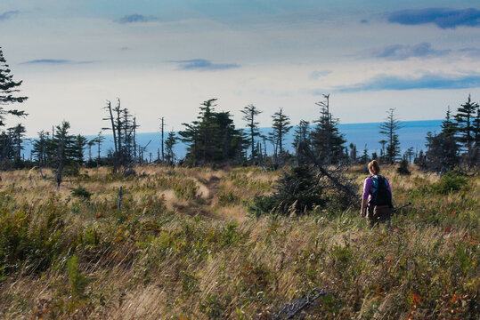 Young woman hiking on top of Skyline trail in  Cape Breton Highlands National Park, Nova Scotia, Canada, by windy day