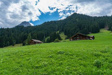 Fototapeta na wymiar alte Bauernhäuser aus Holz im Boden, Adelboden. Streusiedlung mit Wiesen und Wäldern in den schweizer Alpen. Berge im Hintergrund